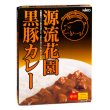 Photo1: Famous Saitama Genryuu-Hanazono's easy and quick retort black pork curry 200g (1)