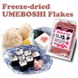 Photo2: Freeze-Dried Crushed UMEBOSHI Dried Plum Powder 38g (2)