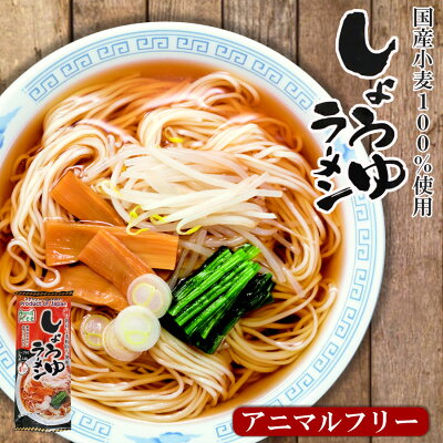 Animal-Free Ramen (flavored with soy sauce)